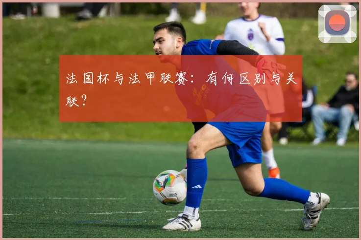 法国杯与法甲联赛：有何区别与关联？
