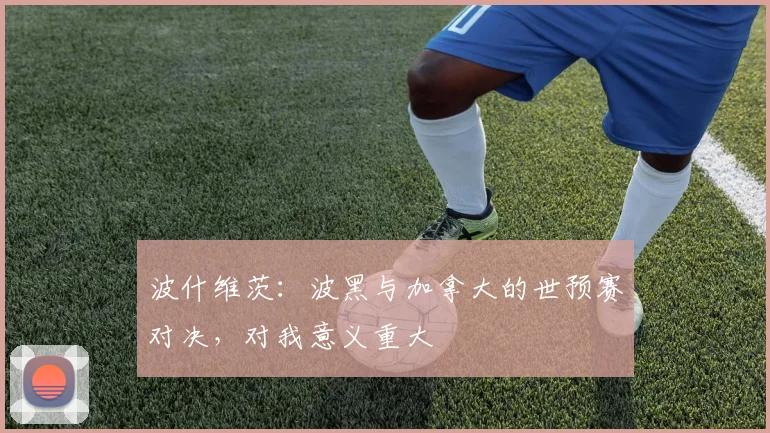 波什维茨：波黑与加拿大的世预赛对决，对我意义重大