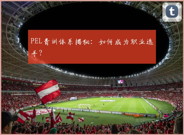 PEL青训体系揭秘:如何成为职业选手?